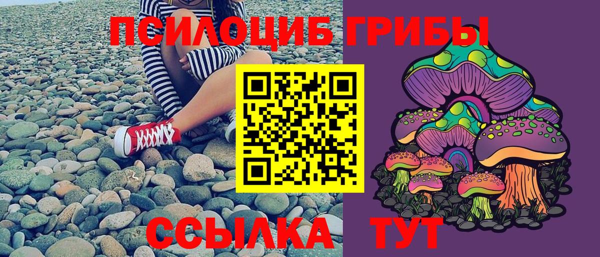 Псилоцибиновые грибы Psilocybine cubensis  Вход с VPN  Новодвинск 