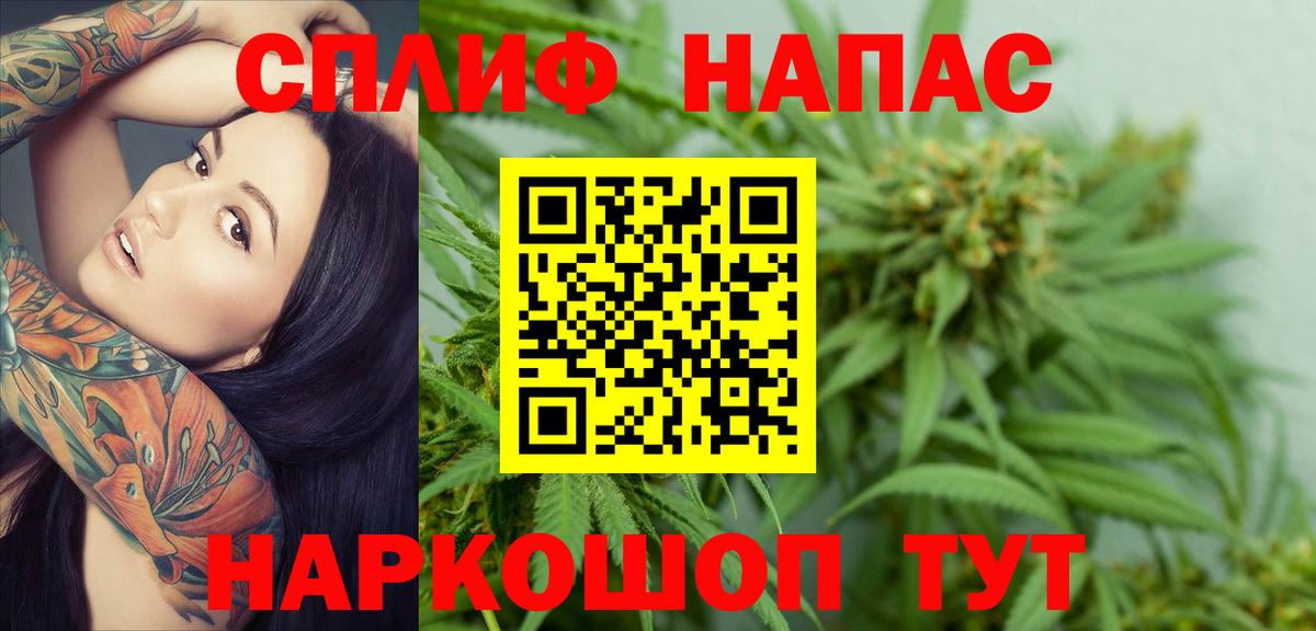 Каннабис планчик Новодвинск